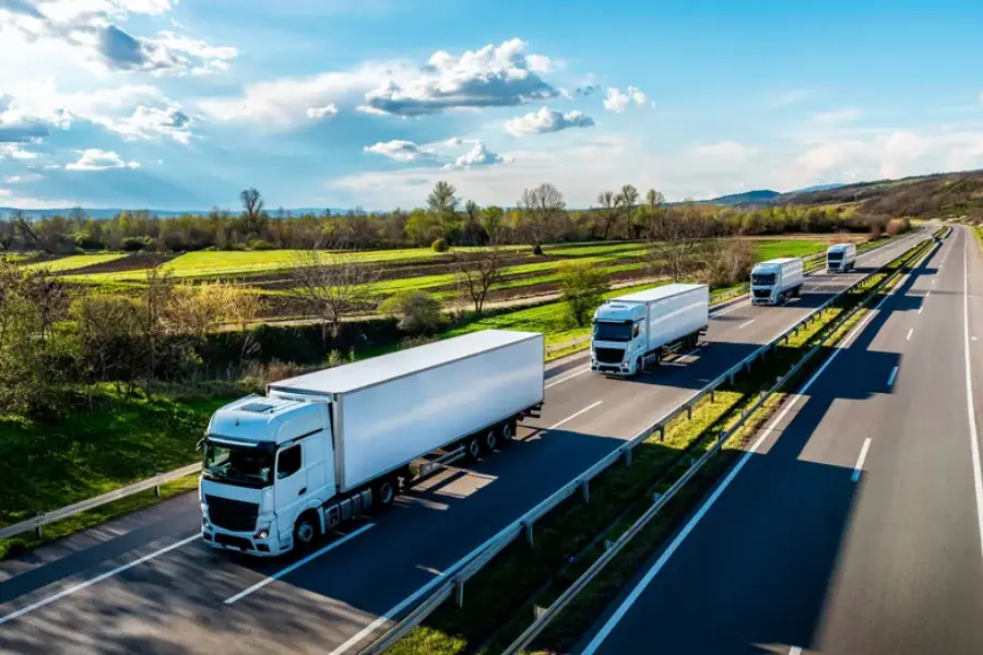 What To Know About Insurance For Long Distance Moves in St. Petersburg, FL